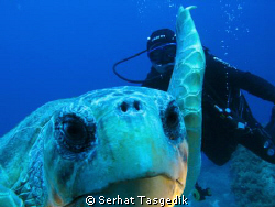 caretta with my buddy   
 Kas-Antalya   Canon G9 by Serhat Tasgedik 